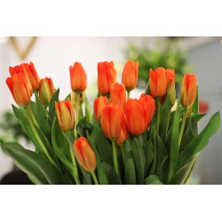 Ramo de 24 tulipanes en bolsa de kraff