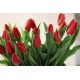 Ramo de tulipanes en saco de yute