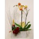 Caja con orquídea, champagne, bombones y ramo de rosas