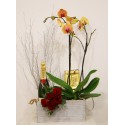 Caja con orquídea, champagne, bombones y ramo de rosas