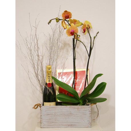 Caja con orquídea , champagne, y bombones