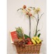 Cesta con fruta, caja de bombones, orquídea